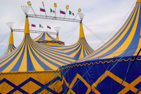 Circus Workshop Hire